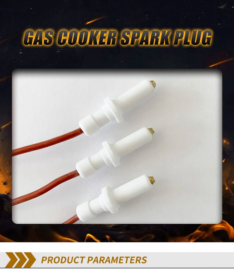 Customized Gas Cooker Ceramic Ignition Electrode Spark Plug Ignitor for Replacement