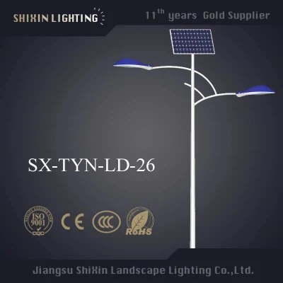 Offerta per HID 80W 100W 150W Miglior prezzo Lampione stradale solare a LED Singolo doppio braccio