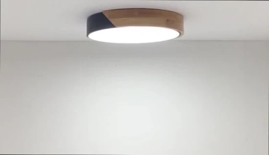 Lampada LED Luz, plafoniera dal design moderno e semplice per la zona giorno dell'appartamento